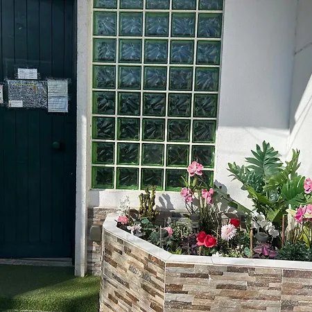 Bing Garden Lisboa